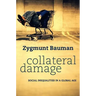 Collateral Damage: Social Inequalities in a Global Age