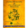 Faery Initiations of The Thirteen Dreamers: A Green Fire Folio