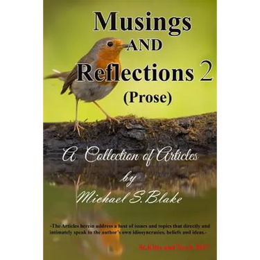 Musings and Reflections 2 (Items of Prose)