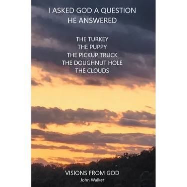 I Asked God a Question He Answered: Visions from God