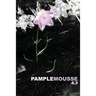 Pamplemousse 4.3