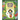 Eliza and the Flower Fairies