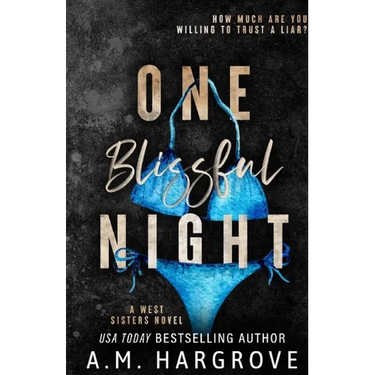 One Blissful Night: A Stand Alone, Second Chance, Enemies To Lovers Romance
