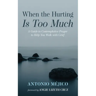 When the Hurting Is Too Much: A Guide to Contemplative Prayer to Help You Walk with Grief