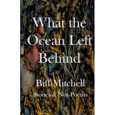 What the Ocean Left Behind