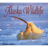 Alaska Wildlife Impressions