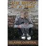 One Brick at a Time: Breaking Down Wall of Bitterness and Learning to Trust God