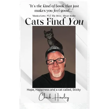 Cats Find You: Hope, happiness, and a cat called Sticky