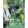 Sloth Bear: The Barefoot Bear of Sri Lanka