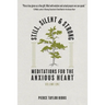 Still, Silent, and Strong: Meditations for the Anxious Heart, Volume 1
