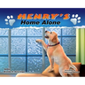 Henry's Home Alone