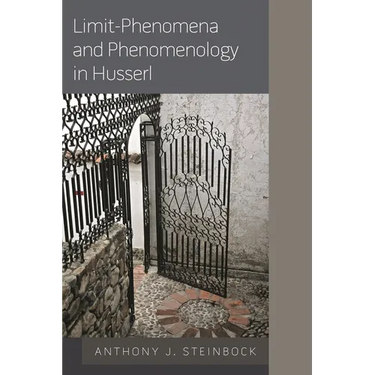 Limit-Phenomena and Phenomenology in Husserl