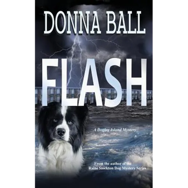 Flash