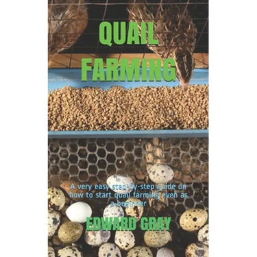 Quail Farming: A very easy step-by-step guide on how to start quail farming even as a beginner