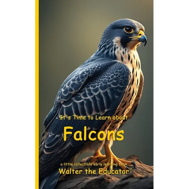 It's Time to Learn about Falcons