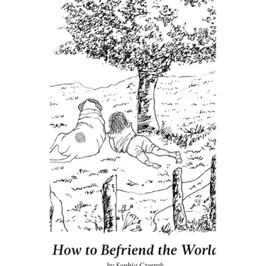 How to Befriend the World