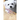 The Maltese Dog: What You Should Know