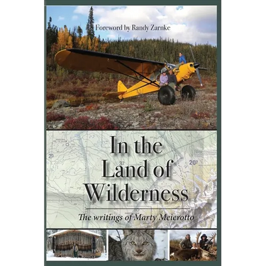 In the Land of Wilderness