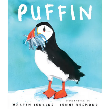 Puffin