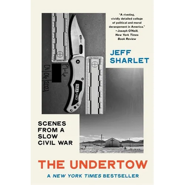 The Undertow: Scenes from a Slow Civil War