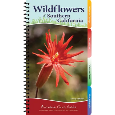 Wildflowers of Southern California: Your Way to Easily Identify Wildflowers