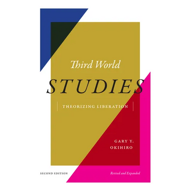 Third World Studies: Theorizing Liberation