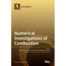 Numerical Investigations of Combustion