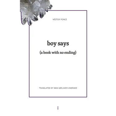 boy says: (a book without ending)