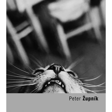 Peter Zupnik