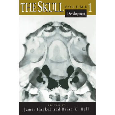 The Skull, Volume 1: Development