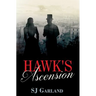 Hawk's Ascension