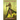 Shannach: A Positronic Book