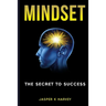 Mindset: The Secret to Success