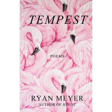 Tempest: Poems