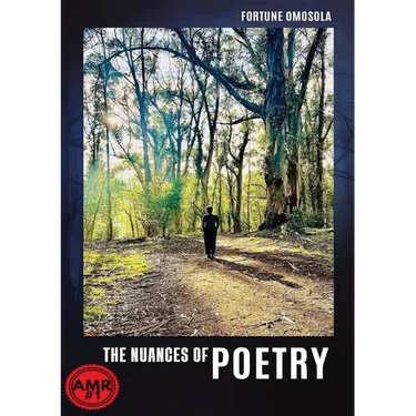 The Nuances of Poetry