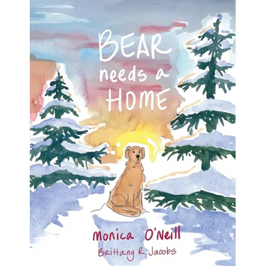 Bear Needs A Home