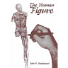The Human Figure