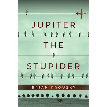 Jupiter the Stupider