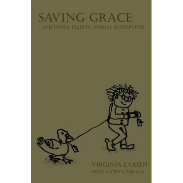 Saving Grace...and Other Tales of Animal Encounters