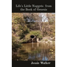 Life's Little Nuggets from the Book of Genesis