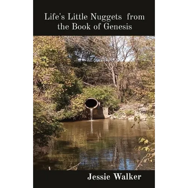 Life's Little Nuggets from the Book of Genesis