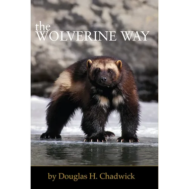 The Wolverine Way