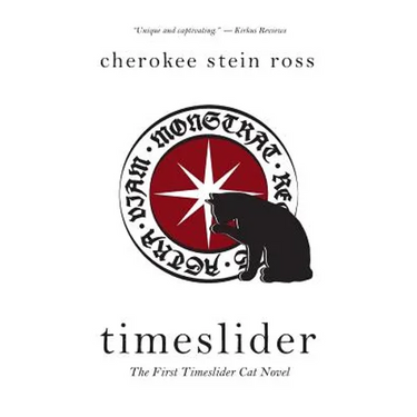 Timeslider: The First Timeslider Cat Novel
