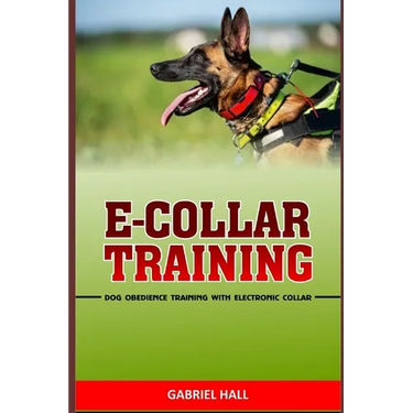 E-Collar Training: Dog Obedience Training With Electronic Collar