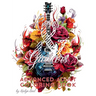 Roses and Guitars Coloring Book