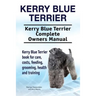 Kerry Blue Terrier. Kerry Blue Terrier Complete Owners Manual. Kerry Blue Terrier book for care, costs, feeding, grooming, health and training.