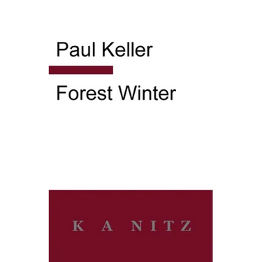 Forest Winter: A Novel of the Silesian Mountains