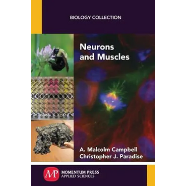 Neurons and Muscles