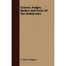 Grasses, Sedges, Rushes And Ferns Of The British Isles