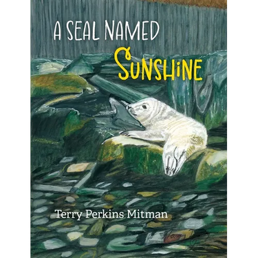 A Seal Named Sunshine: The Story of Sunshine and All the Rest Who Made a Big Splash One Winter in Maine